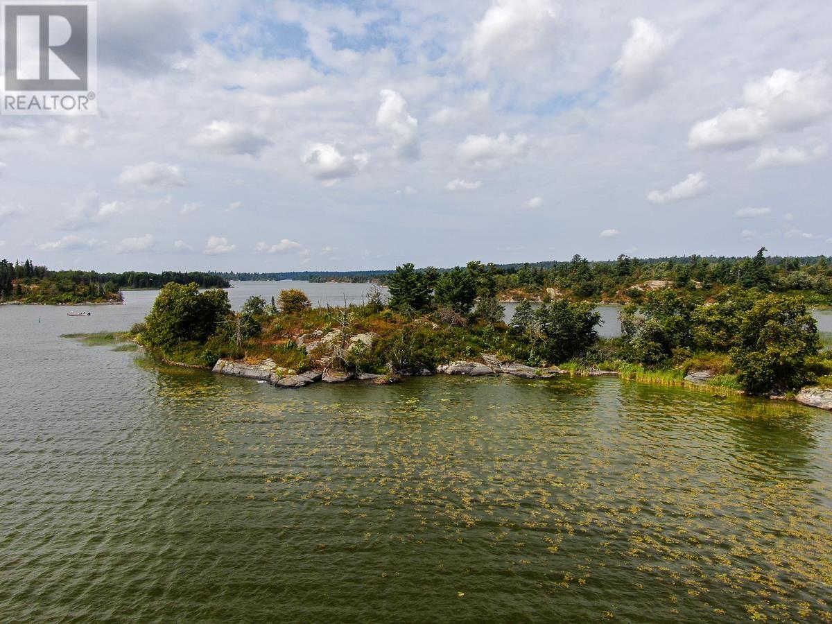 Sabaskong Bay Island G2217, Morson, Ontario P0W 1J0 - Photo 18 - TB250843