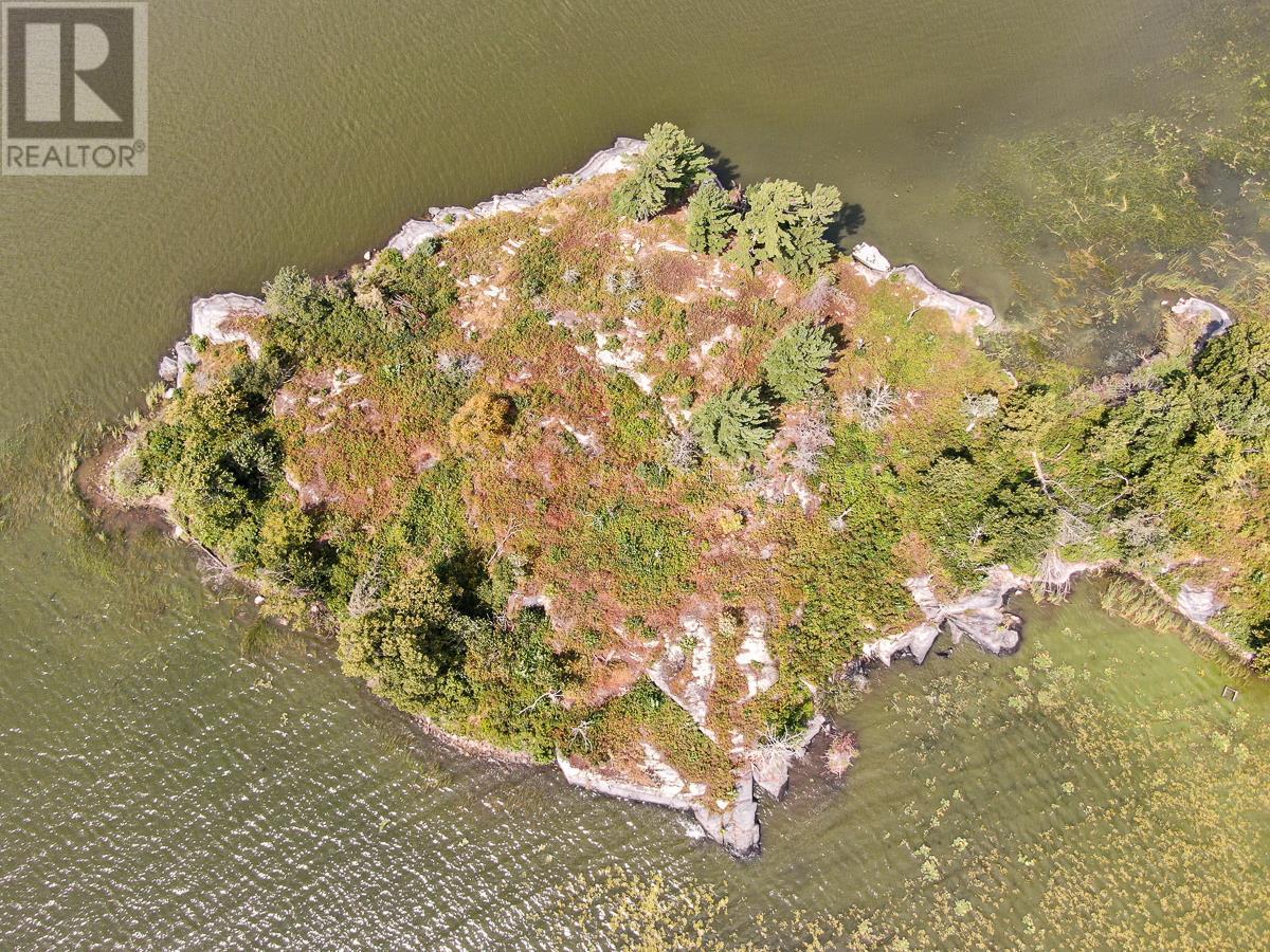 Sabaskong Bay Island G2217, Morson, Ontario P0W 1J0 - Photo 21 - TB250843