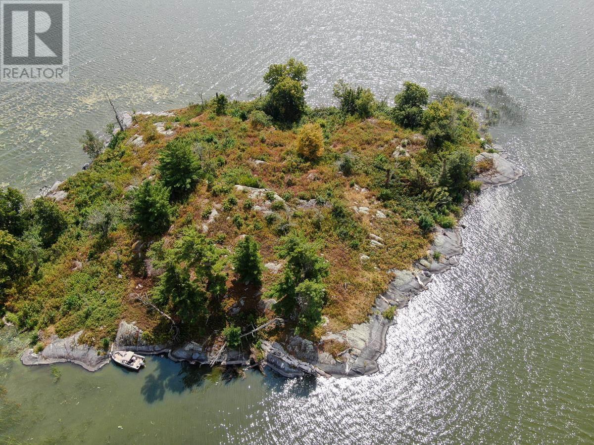 Sabaskong Bay Island G2217, Morson, Ontario P0W 1J0 - Photo 22 - TB250843