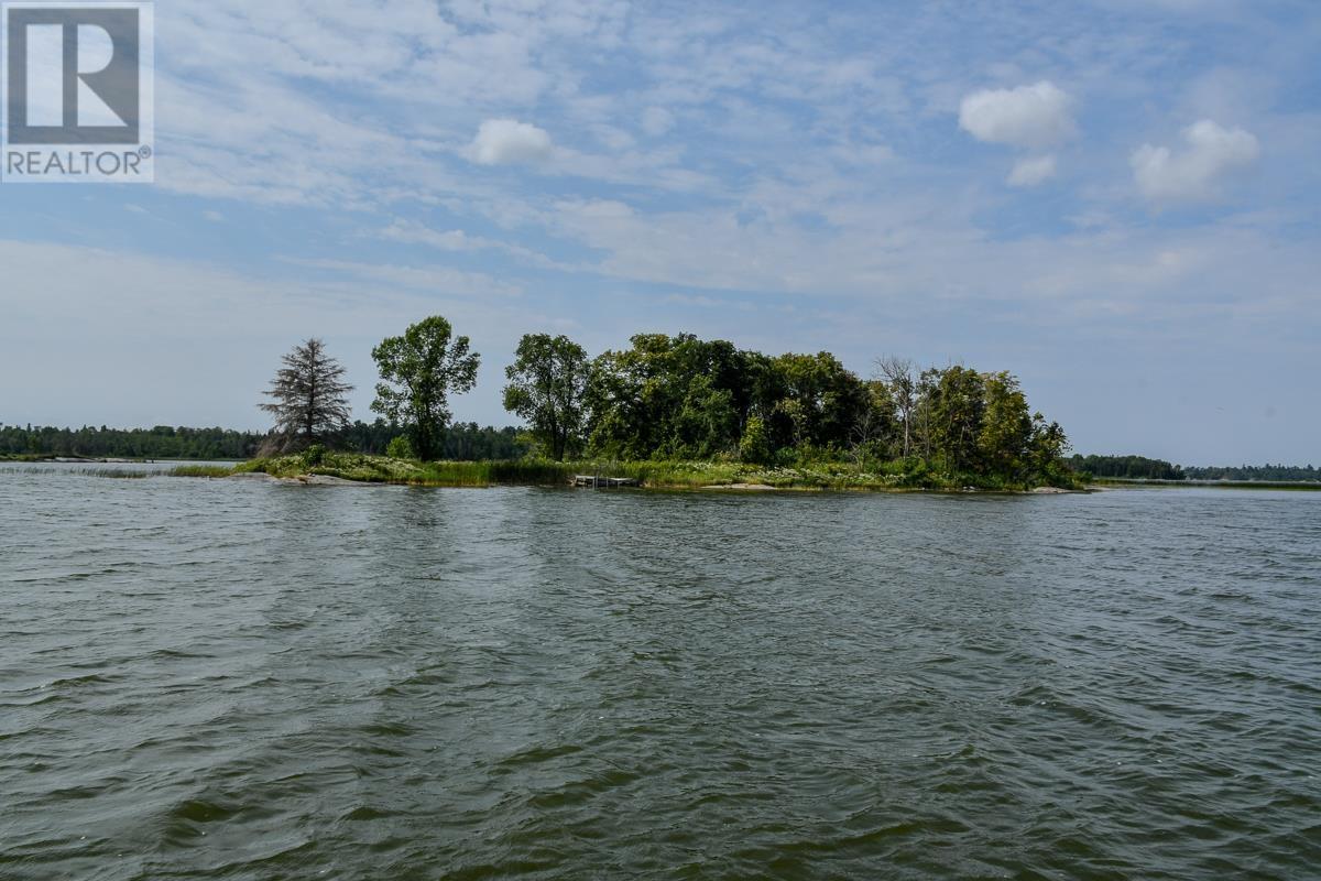 Sabaskong Bay Island G2217, Morson, Ontario P0W 1J0 - Photo 30 - TB250843