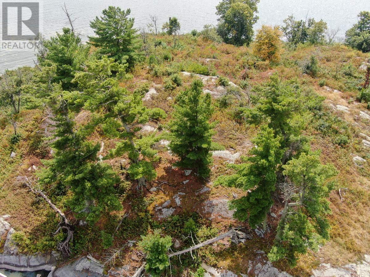 Sabaskong Bay Island G2217, Morson, Ontario P0W 1J0 - Photo 25 - TB250843