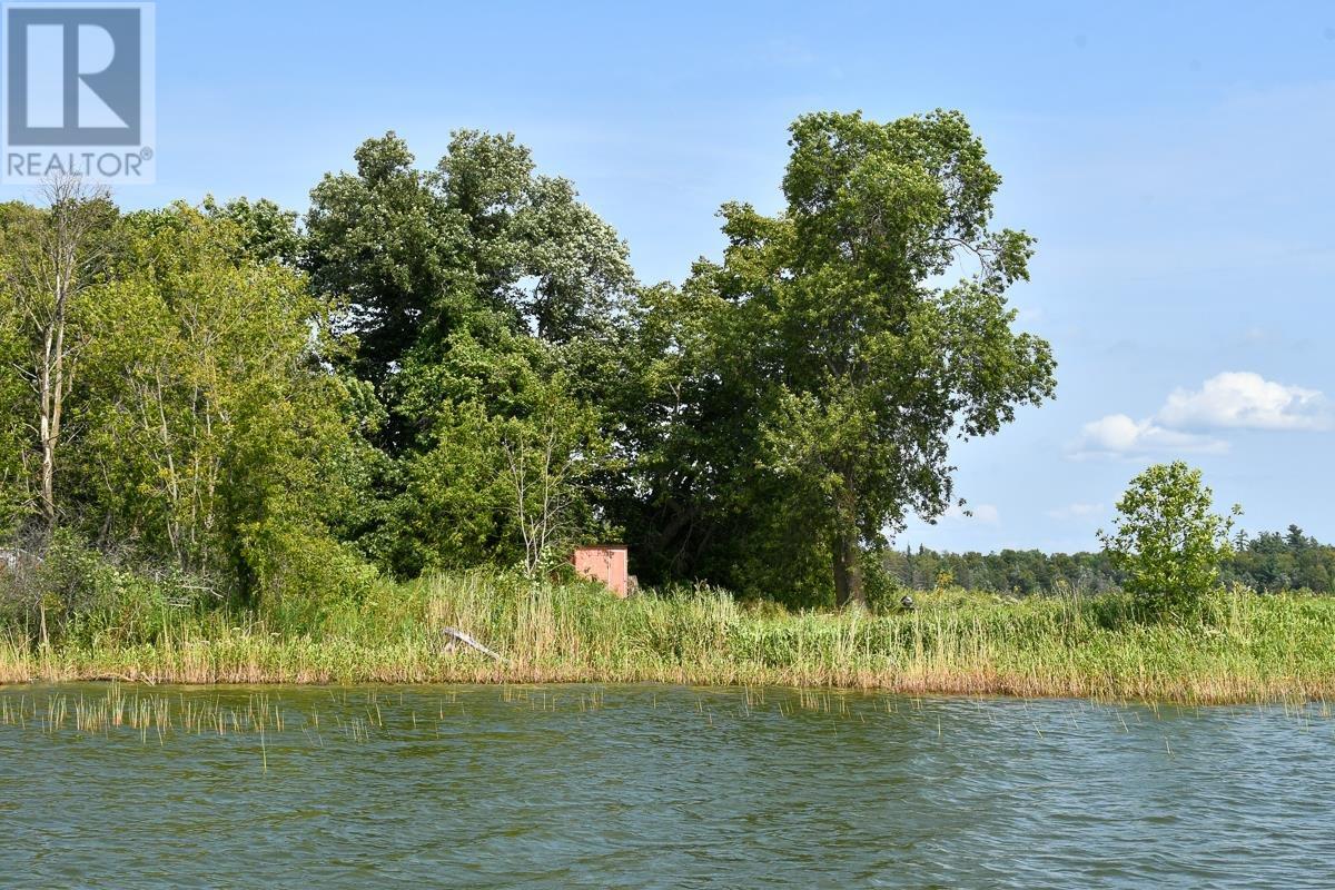 Sabaskong Bay Island G2217, Morson, Ontario P0W 1J0 - Photo 33 - TB250843