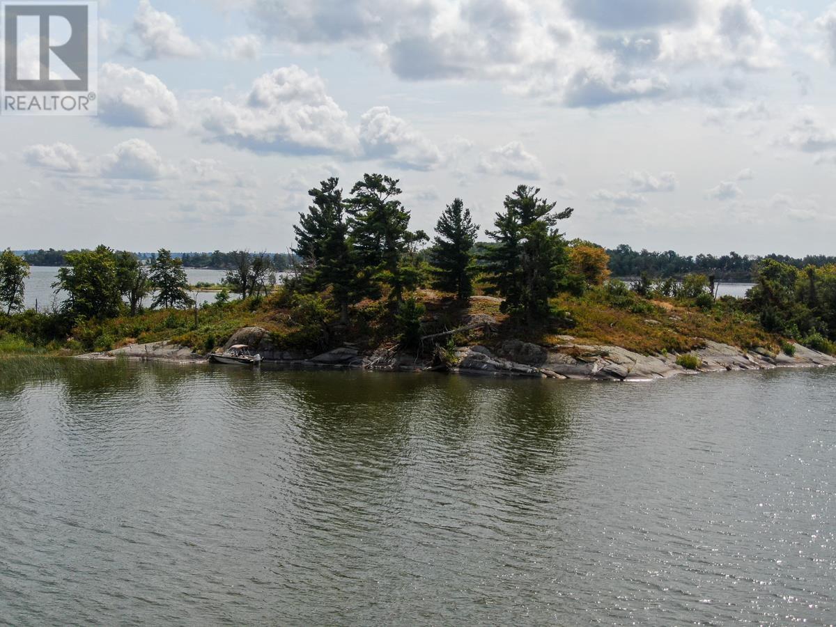 Sabaskong Bay Island G2217, Morson, Ontario P0W 1J0 - Photo 27 - TB250843