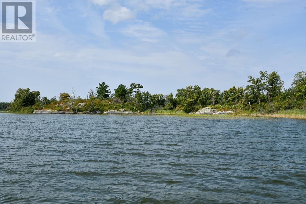Sabaskong Bay Island G2217, Morson, Ontario P0W 1J0 - Photo 31 - TB250843