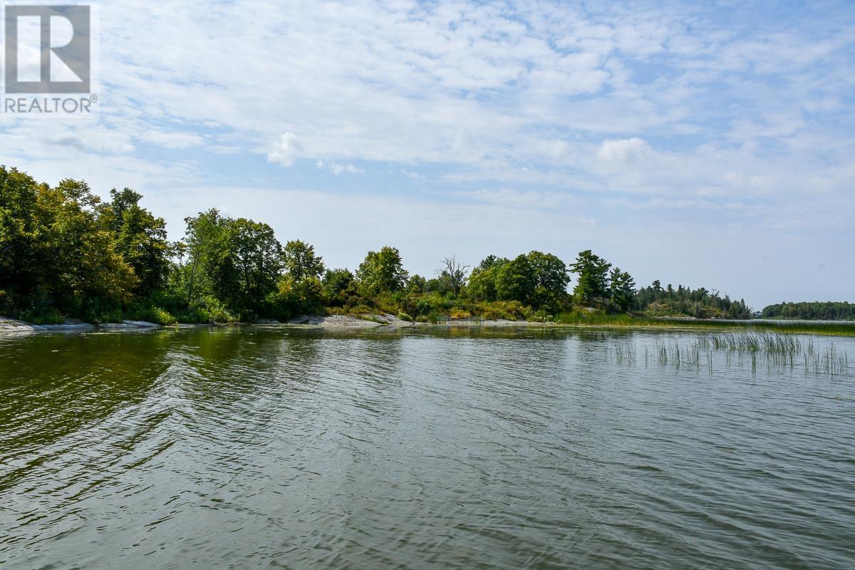 Sabaskong Bay Island G2217, Morson, Ontario P0W 1J0 - Photo 28 - TB250843