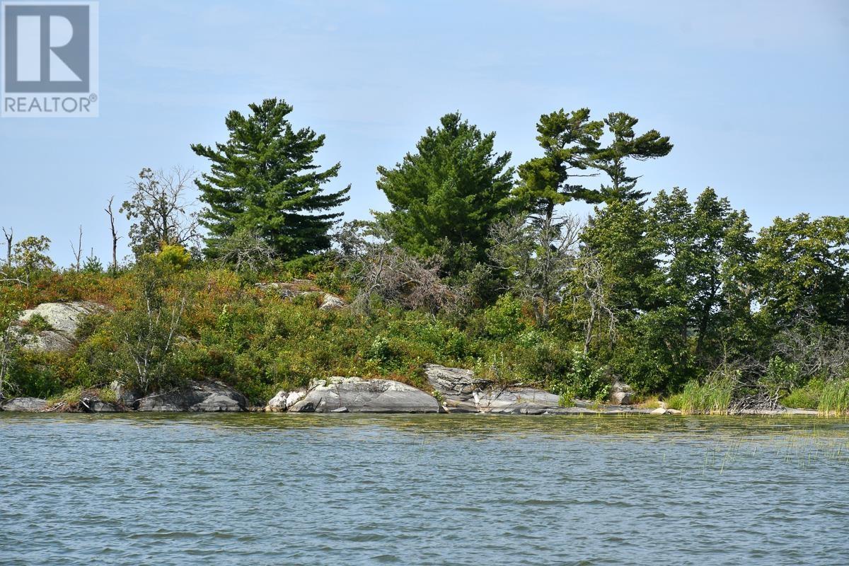Sabaskong Bay Island G2217, Morson, Ontario P0W 1J0 - Photo 32 - TB250843