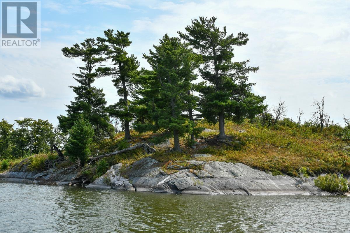 Sabaskong Bay Island G2217, Morson, Ontario P0W 1J0 - Photo 41 - TB250843