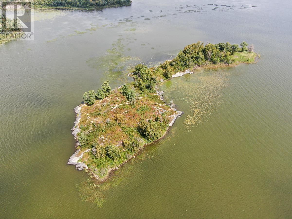 Sabaskong Bay Island G2217, Morson, Ontario P0W 1J0 - Photo 49 - TB250843