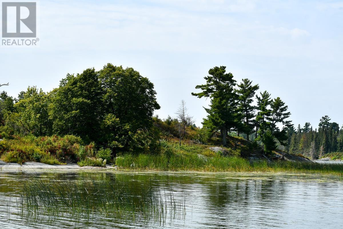 Sabaskong Bay Island G2217, Morson, Ontario P0W 1J0 - Photo 29 - TB250843