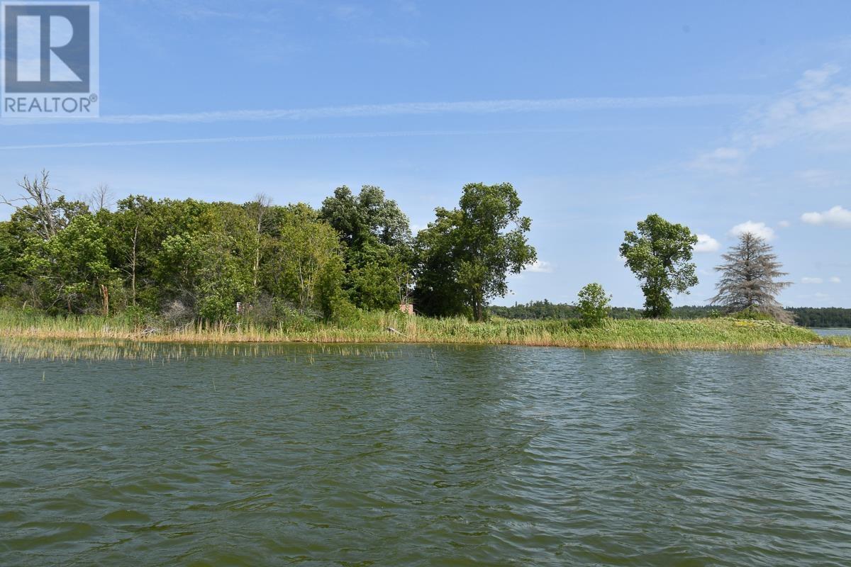 Sabaskong Bay Island G2217, Morson, Ontario P0W 1J0 - Photo 34 - TB250843