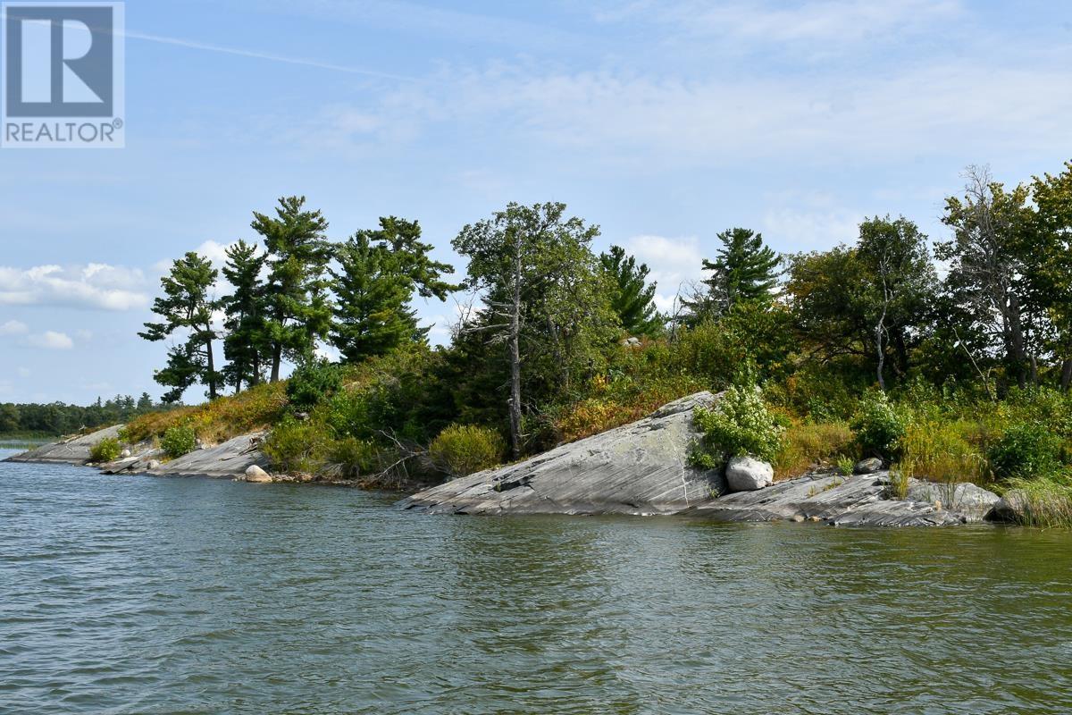 Sabaskong Bay Island G2217, Morson, Ontario P0W 1J0 - Photo 39 - TB250843