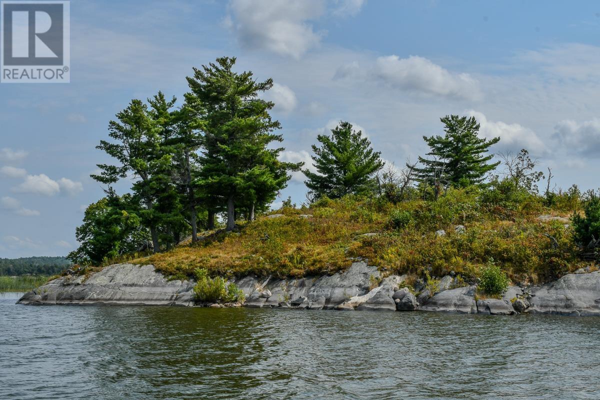 Sabaskong Bay Island G2217, Morson, Ontario P0W 1J0 - Photo 5 - TB250843