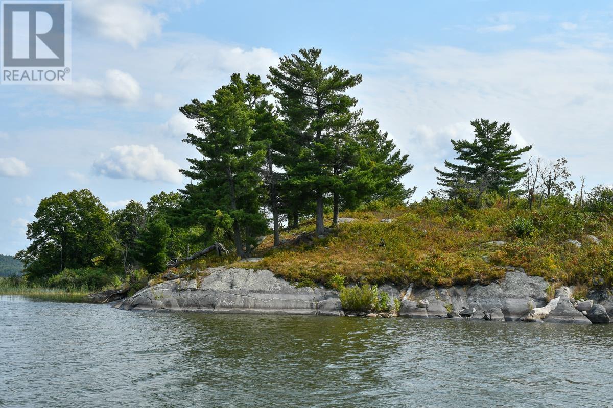 Sabaskong Bay Island G2217, Morson, Ontario P0W 1J0 - Photo 40 - TB250843