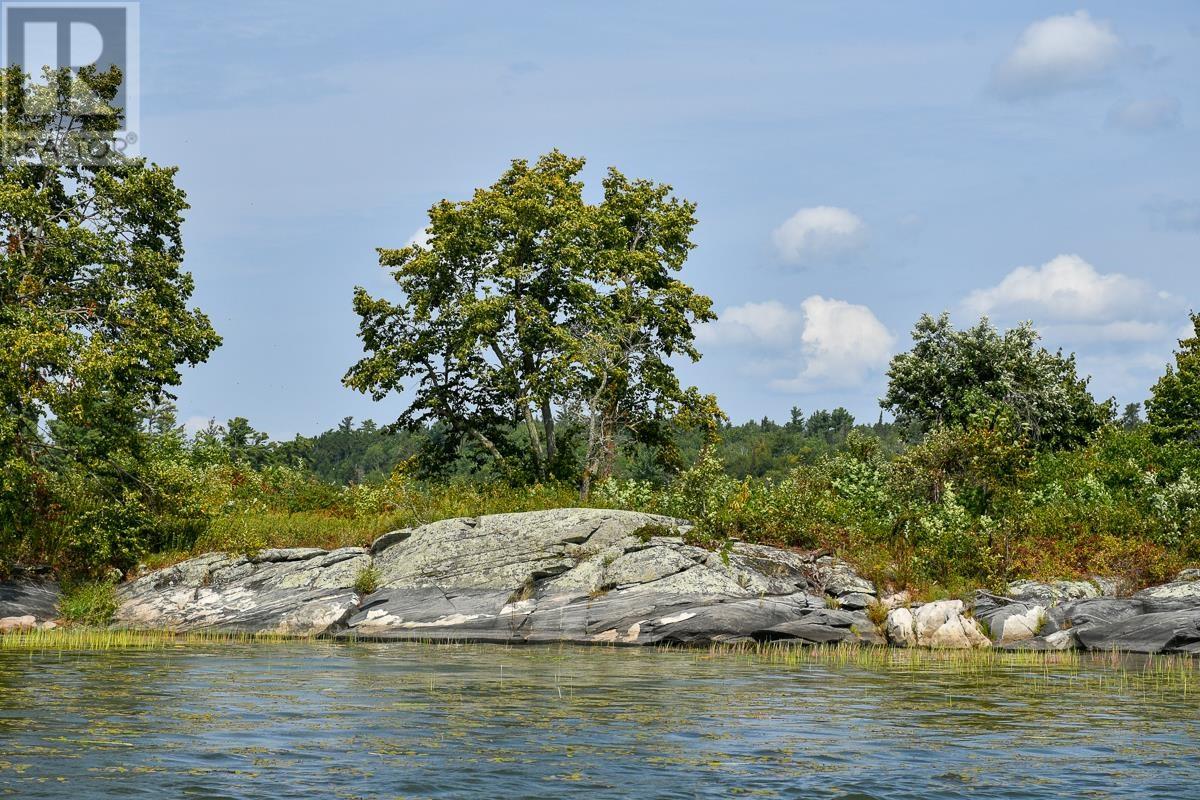 Sabaskong Bay Island G2217, Morson, Ontario P0W 1J0 - Photo 36 - TB250843