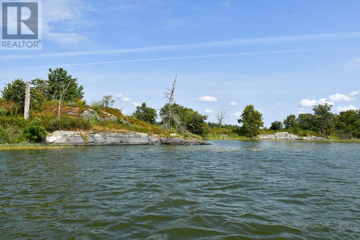Sabaskong Bay Island G2217, Morson, Ontario P0W 1J0 - Photo 37 - TB250843