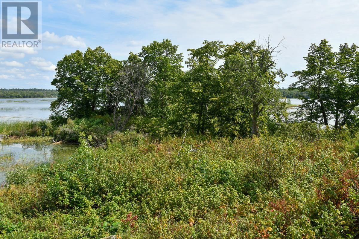 Sabaskong Bay Island G2217, Morson, Ontario P0W 1J0 - Photo 42 - TB250843