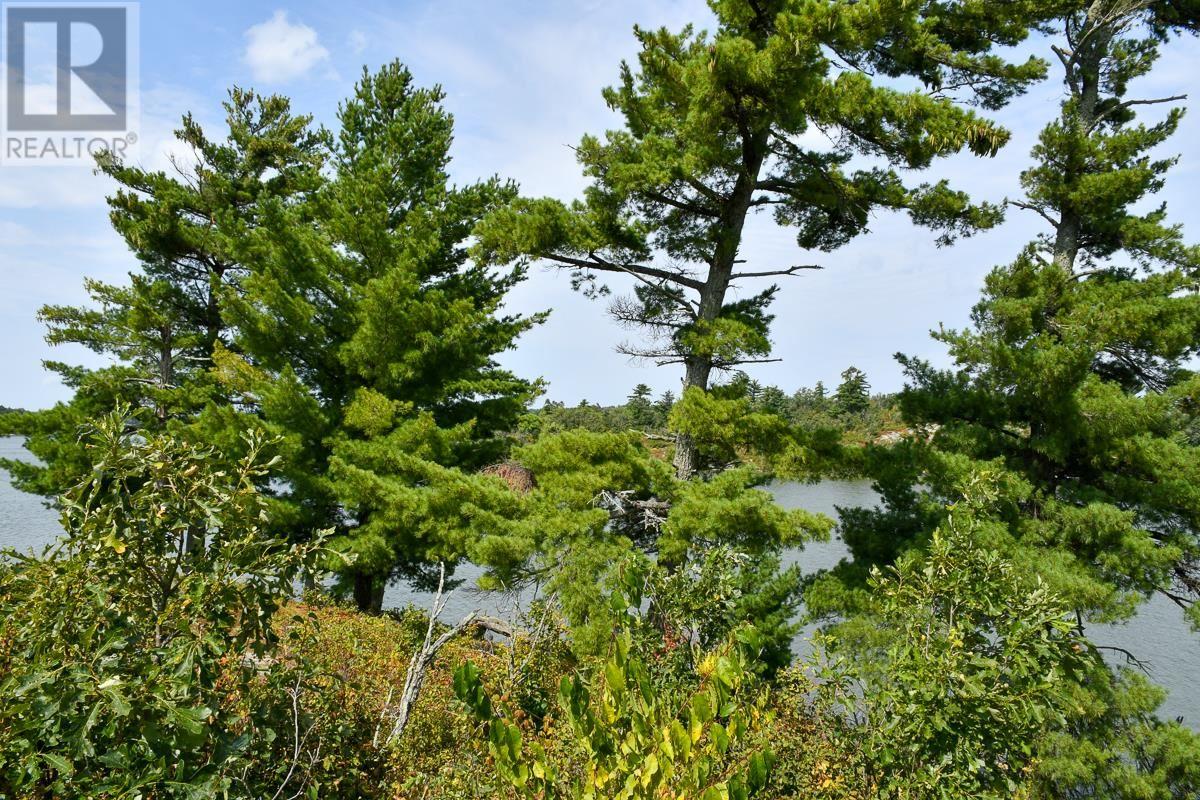 Sabaskong Bay Island G2217, Morson, Ontario P0W 1J0 - Photo 43 - TB250843