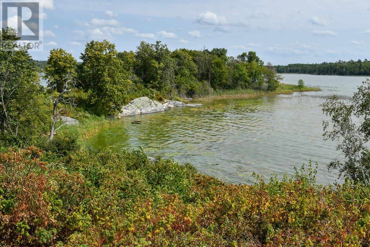 Sabaskong Bay Island G2217, Morson, Ontario P0W 1J0 - Photo 45 - TB250843