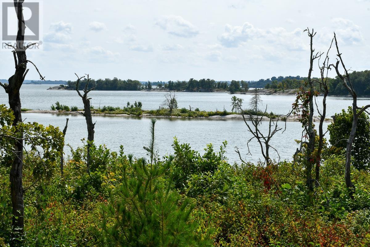 Sabaskong Bay Island G2217, Morson, Ontario P0W 1J0 - Photo 8 - TB250843