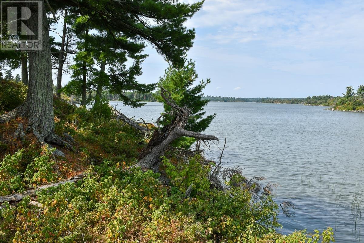 Sabaskong Bay Island G2217, Morson, Ontario P0W 1J0 - Photo 9 - TB250843
