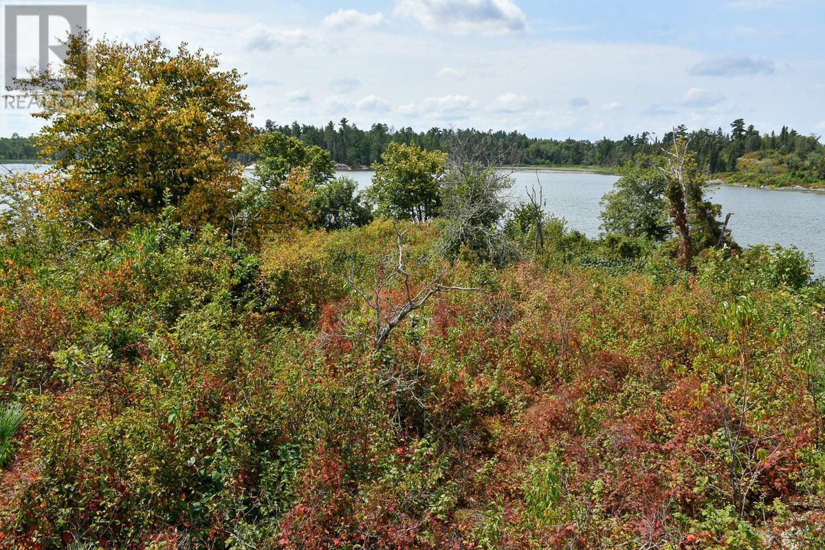 Sabaskong Bay Island G2217, Morson, Ontario P0W 1J0 - Photo 44 - TB250843