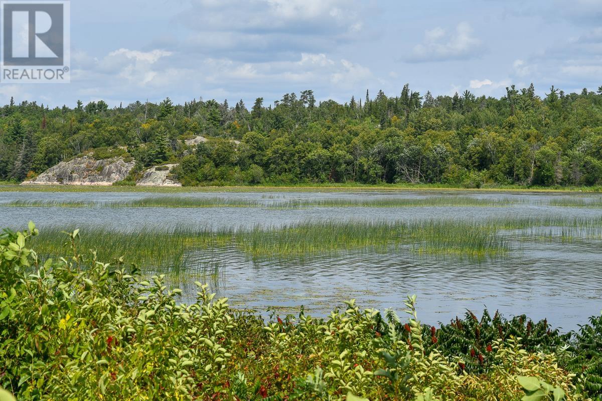 Sabaskong Bay Island G2217, Morson, Ontario P0W 1J0 - Photo 48 - TB250843