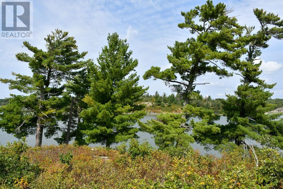 Sabaskong Bay Island G2217, Morson, Ontario P0W 1J0 - Photo 6 - TB250843