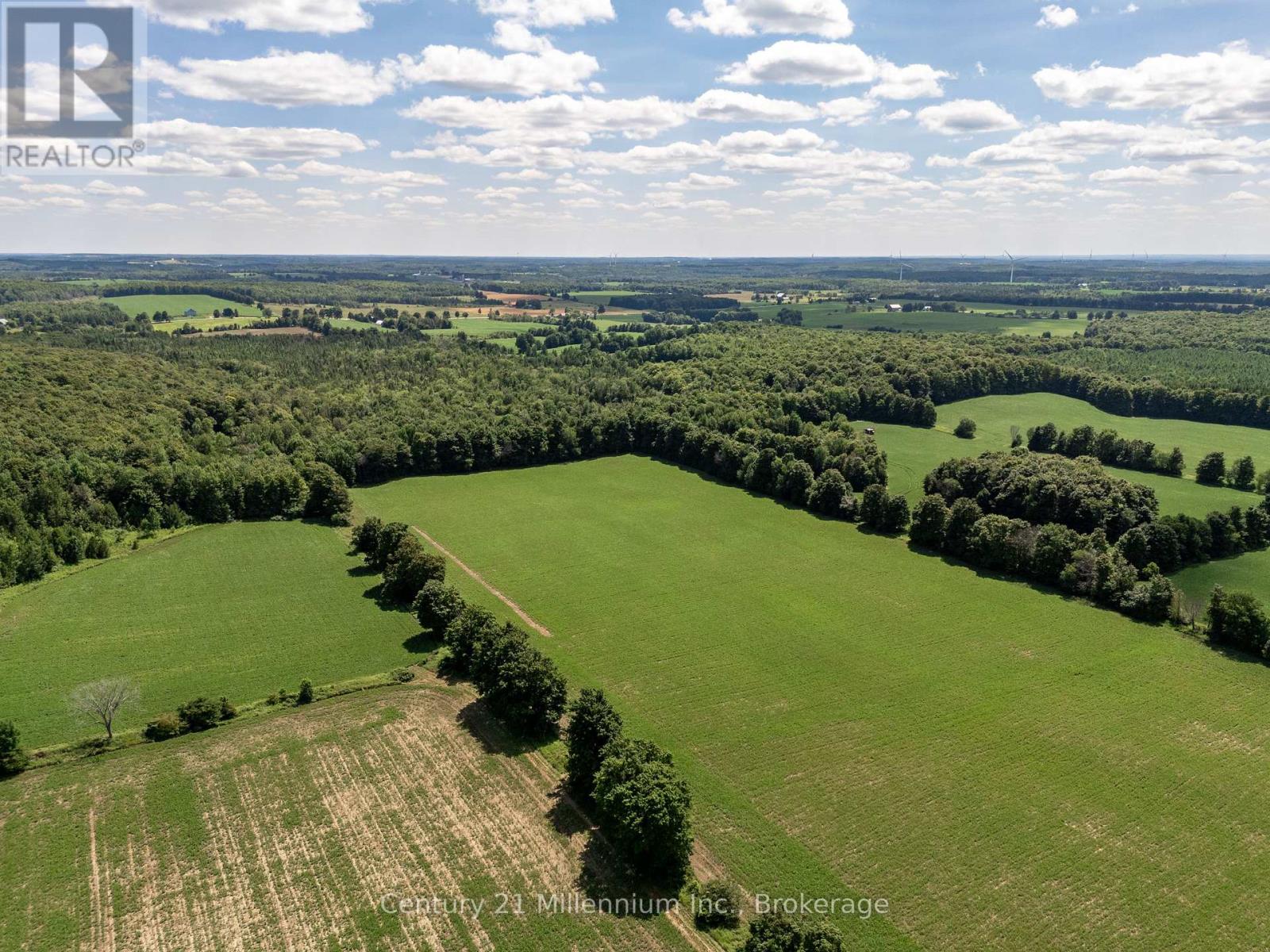 425158 Irish Lake Road, Grey Highlands, Ontario  N0C 1H0 - Photo 10 - X12544534