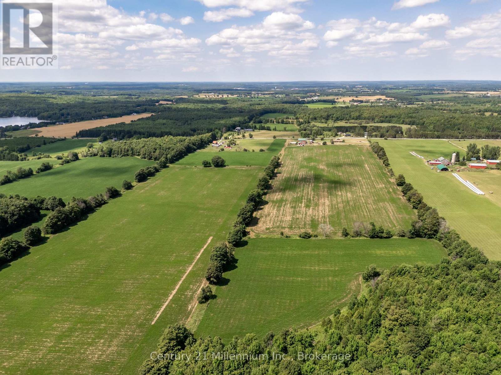 425158 Irish Lake Road, Grey Highlands, Ontario  N0C 1H0 - Photo 15 - X12544534