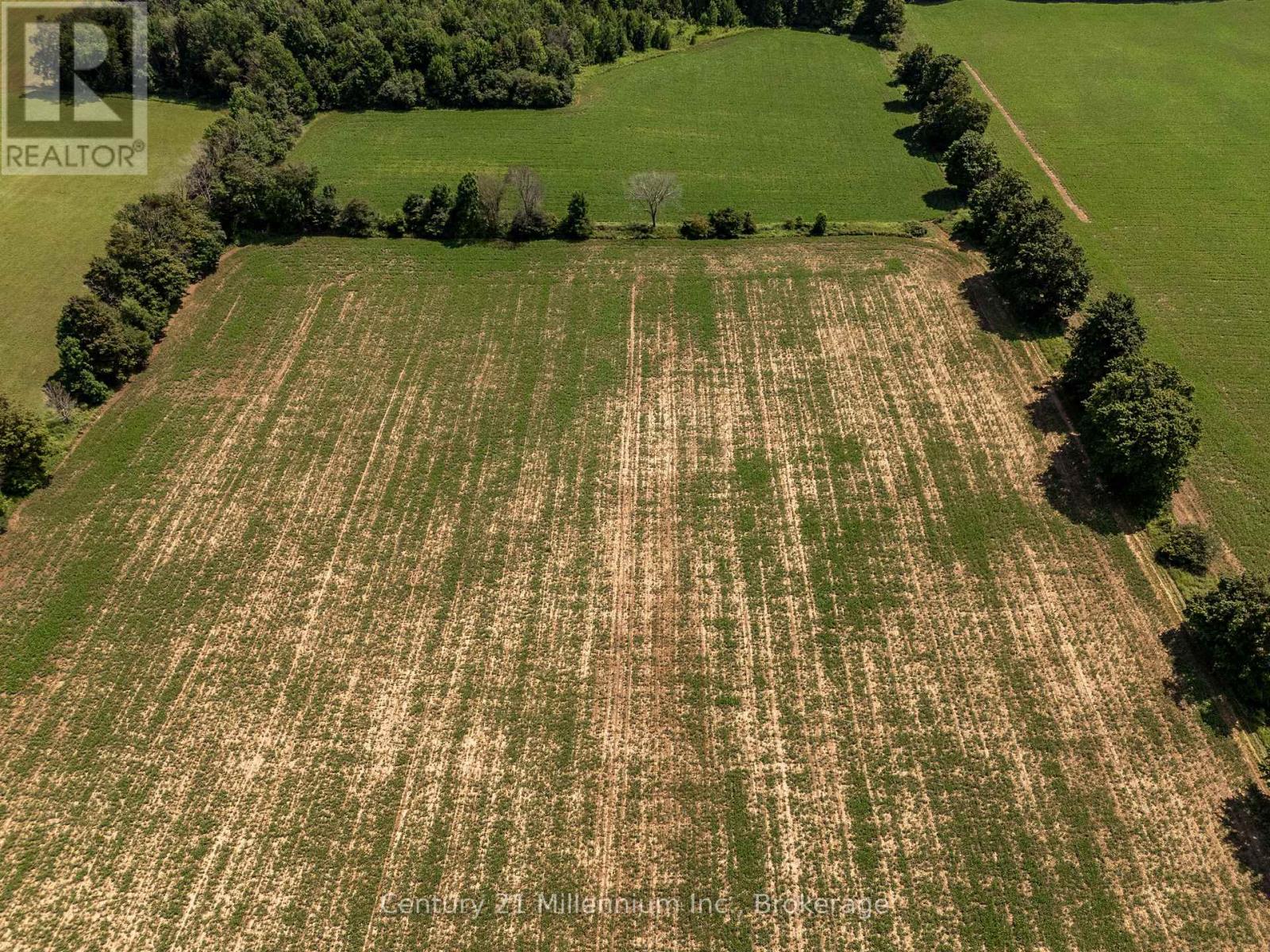 425158 Irish Lake Road, Grey Highlands, Ontario  N0C 1H0 - Photo 12 - X12544534