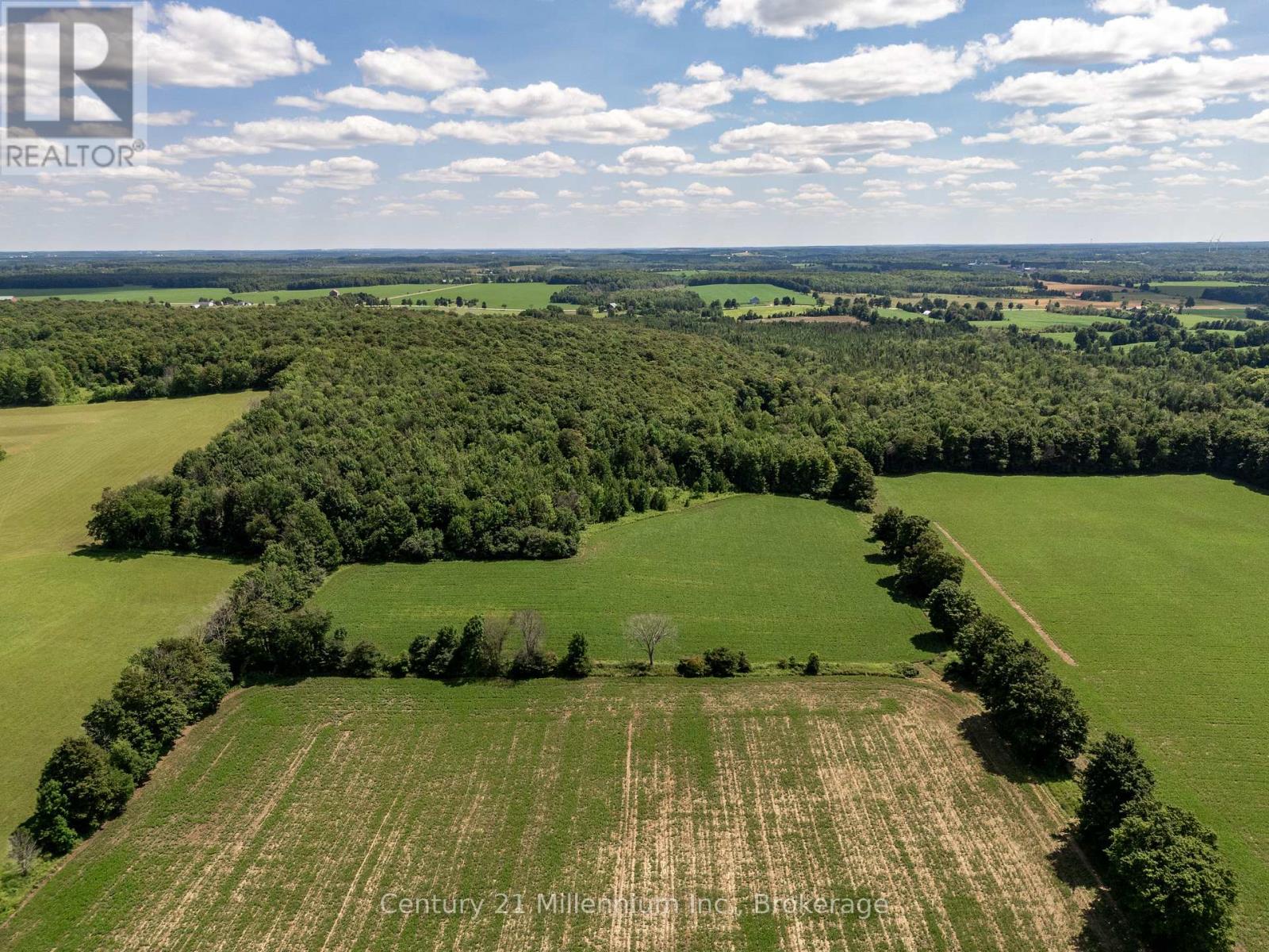 425158 Irish Lake Road, Grey Highlands, Ontario  N0C 1H0 - Photo 11 - X12544534