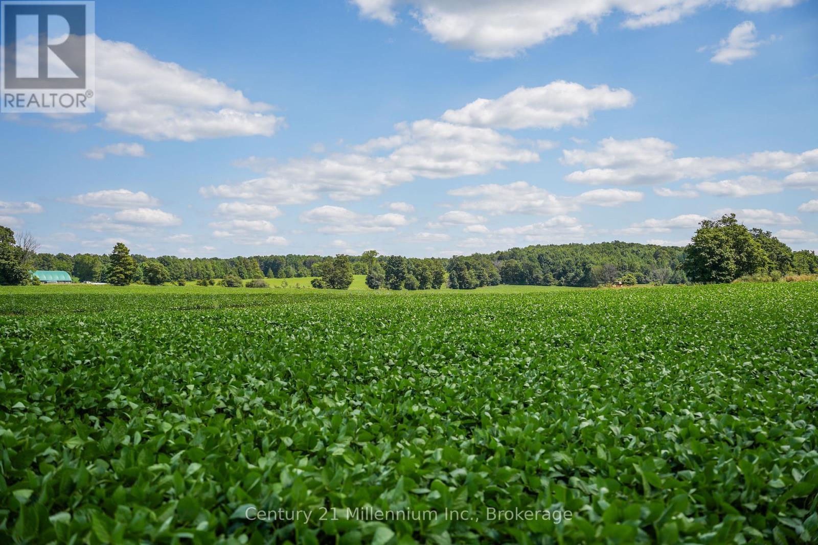 425158 Irish Lake Road, Grey Highlands, Ontario  N0C 1H0 - Photo 23 - X12544534