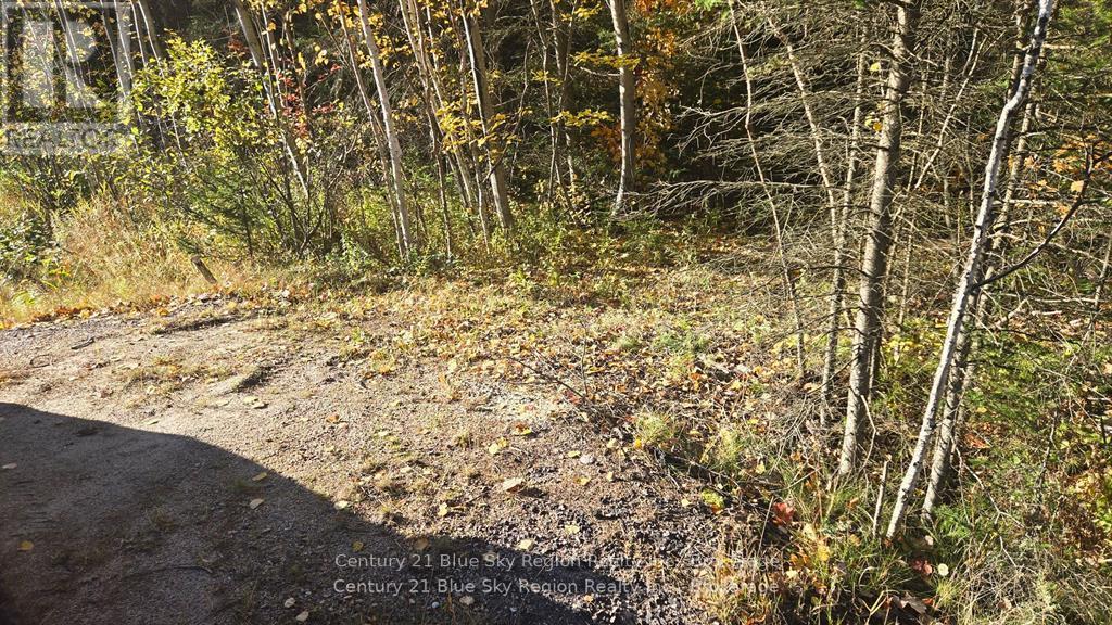 Pt Lt 6 Con 11 Highway 654, Nipissing, Ontario P0H 1Z0 - Photo 2 - X12550322