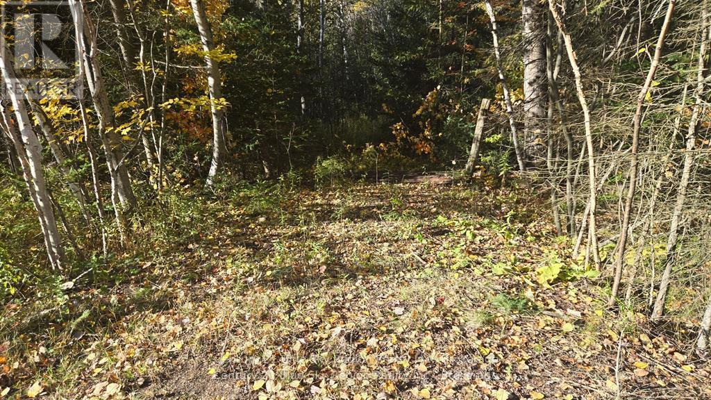 Pt Lt 6 Con 11 Highway 654, Nipissing, Ontario P0H 1Z0 - Photo 4 - X12550322