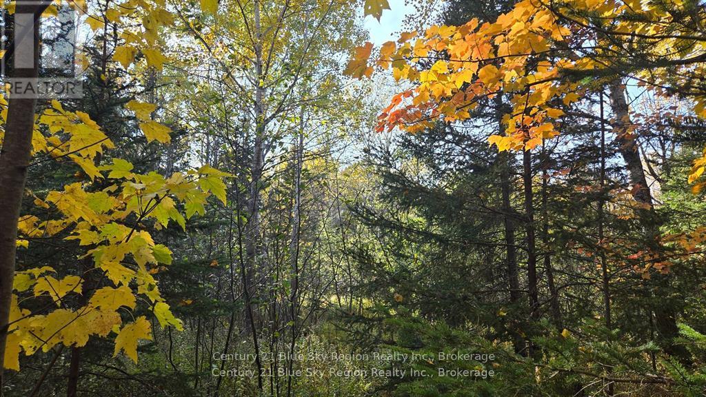 Pt Lt 6 Con 11 Highway 654, Nipissing, Ontario P0H 1Z0 - Photo 5 - X12550322