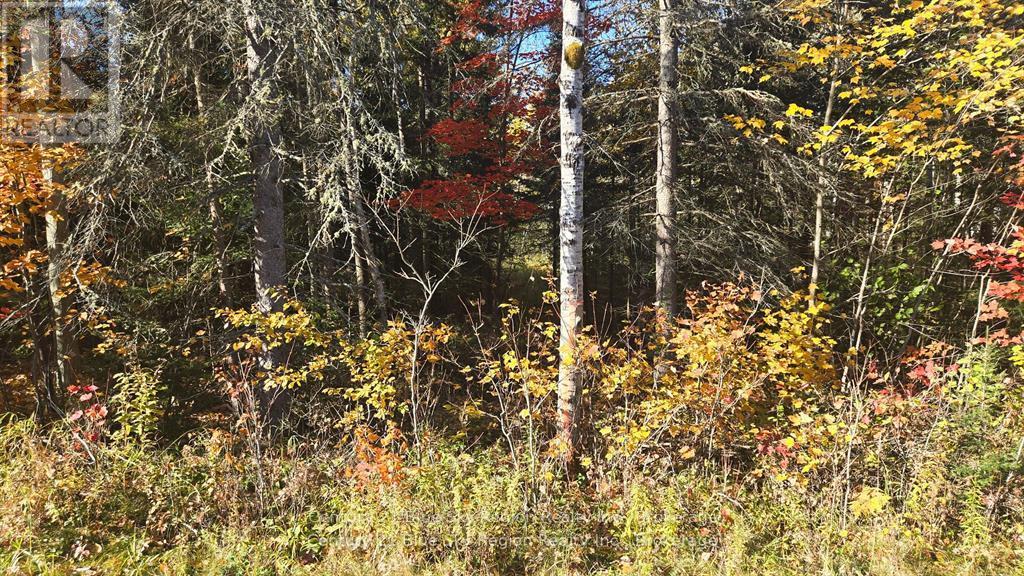 Pt Lt 6 Con 11 Highway 654, Nipissing, Ontario P0H 1Z0 - Photo 6 - X12550322