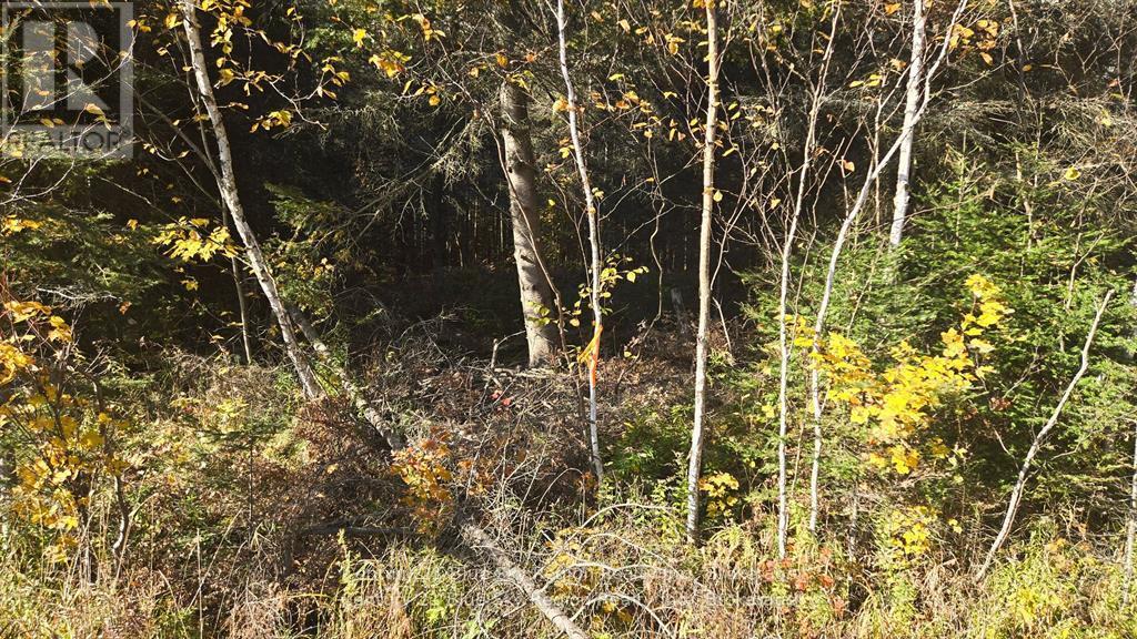 Pt Lt 6 Con 11 Highway 654, Nipissing, Ontario P0H 1Z0 - Photo 7 - X12550322