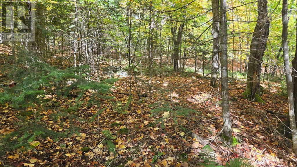 Pt Lt 6 Con 11 Highway 654, Nipissing, Ontario P0H 1Z0 - Photo 8 - X12550322