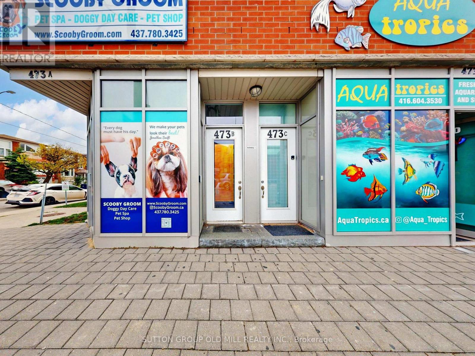 7 - 473 B Rogers Road, Toronto, Ontario  M6M 0B3 - Photo 5 - W12550178