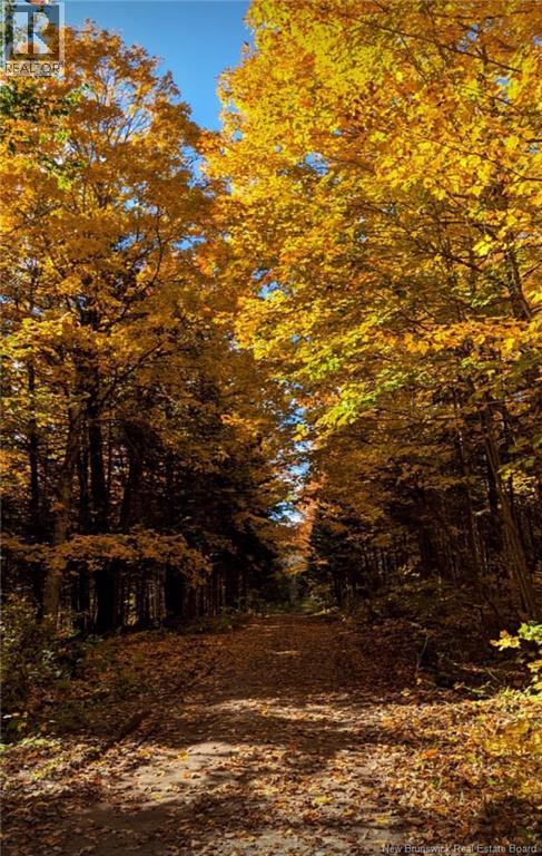 Lot 1 Bartlett Lane, Stanley, New Brunswick  E6B 1B9 - Photo 34 - NB130098