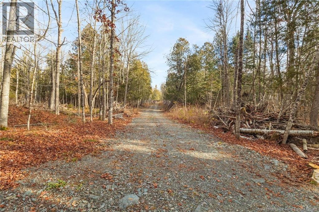 Lot 1 Bartlett Lane, Stanley, New Brunswick  E6B 1B9 - Photo 33 - NB130098