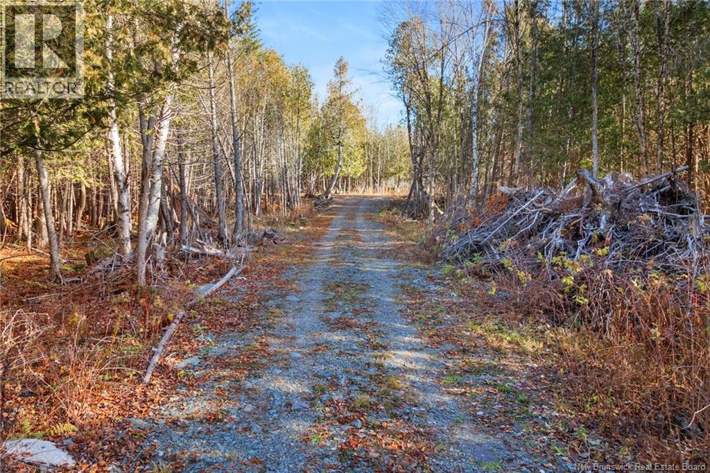 Lot 1 Bartlett Lane, Stanley, New Brunswick  E6B 1B9 - Photo 38 - NB130098