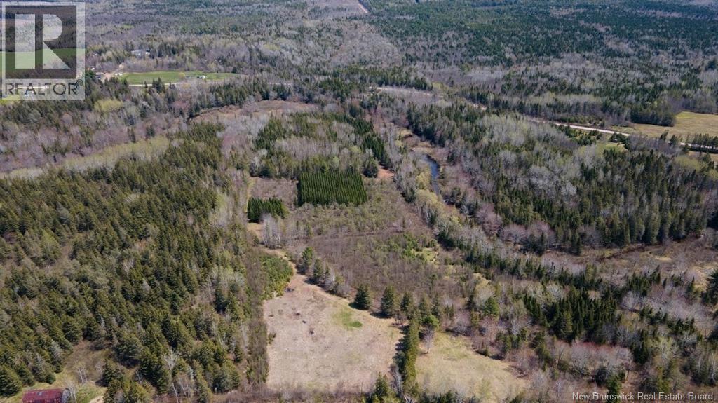 Lot 3 Shortall Road, South Branch, New Brunswick  E4W 3L9 - Photo 9 - NB112571