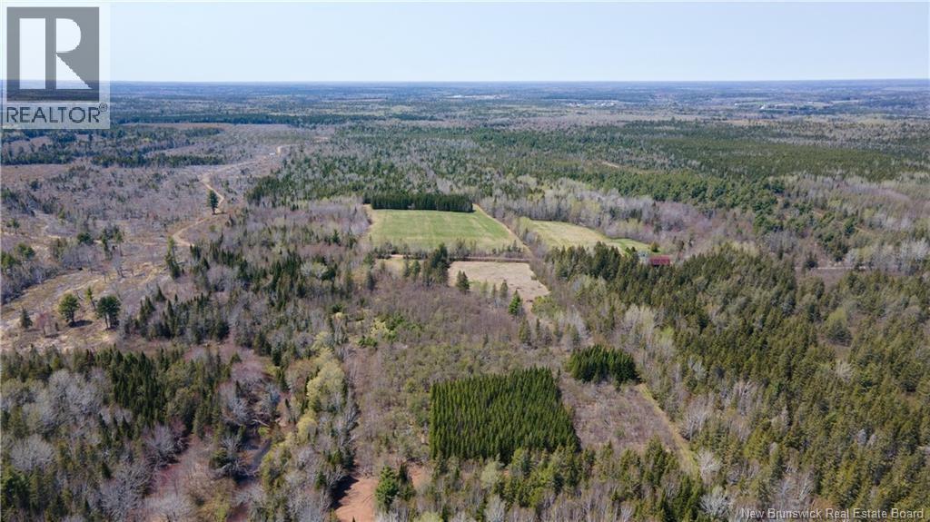 Lot 3 Shortall Road, South Branch, New Brunswick  E4W 3L9 - Photo 11 - NB112571