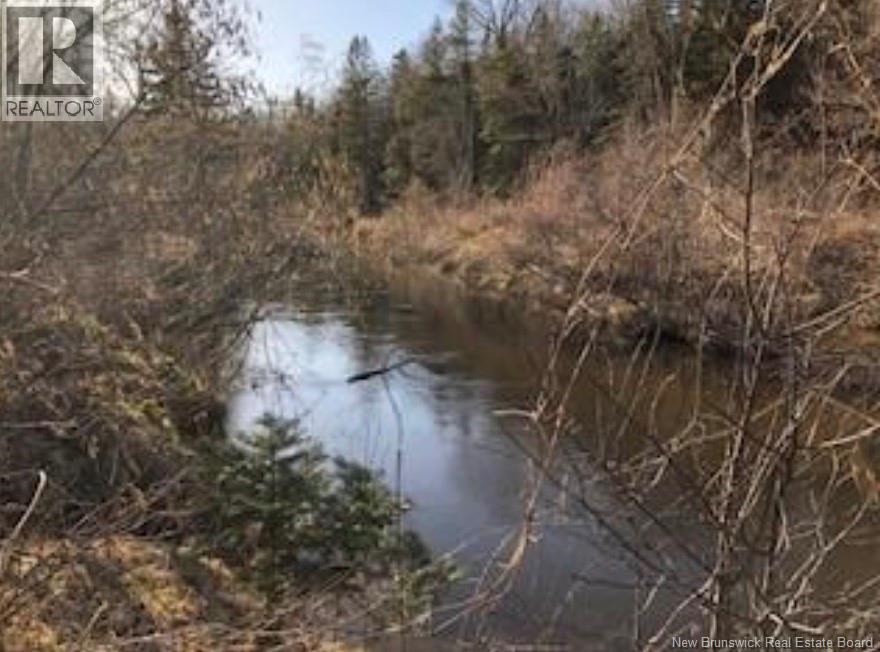 Lot 3 Shortall Road, South Branch, New Brunswick  E4W 3L9 - Photo 2 - NB112571