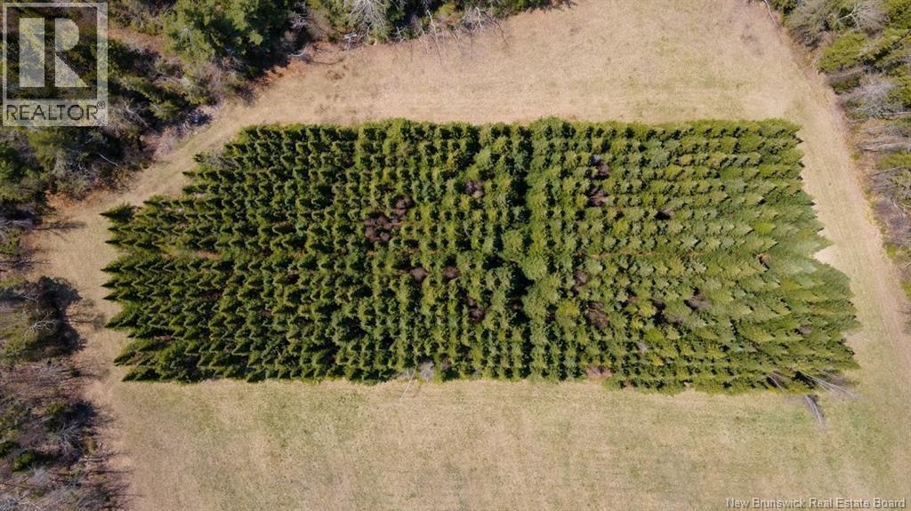 Lot 3 Shortall Road, South Branch, New Brunswick  E4W 3L9 - Photo 6 - NB112571