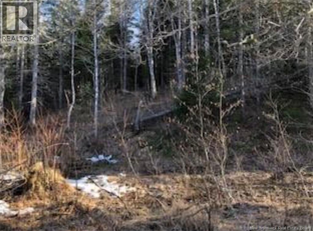 Lot 3 Shortall Road, South Branch, New Brunswick  E4W 3L9 - Photo 13 - NB112571