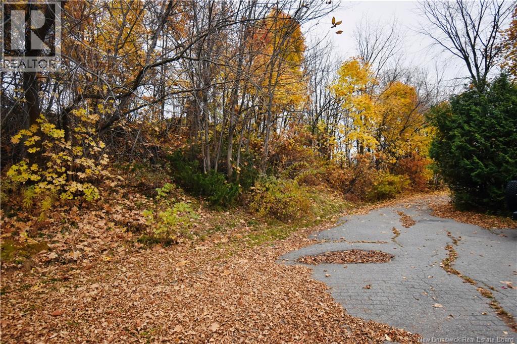 775 Murray Avenue, Bathurst, New Brunswick  E2A 1V3 - Photo 45 - NB126065