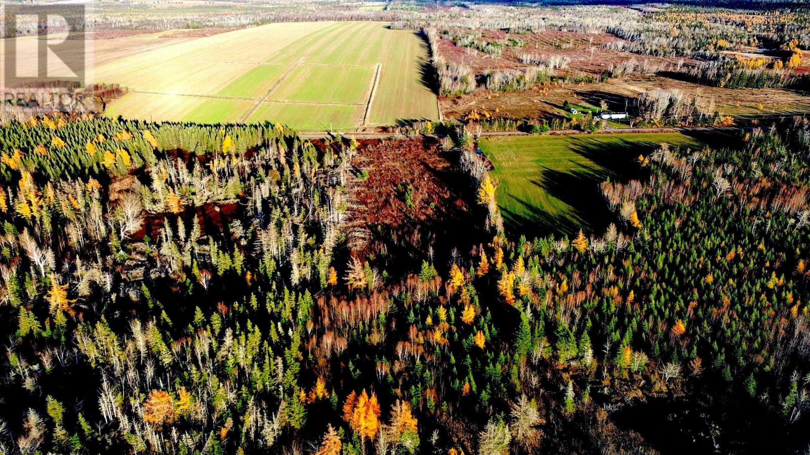 Albion Road, Route 327, Albion Cross, Prince Edward Island C0A 2A0 - Photo 3 - 202528083