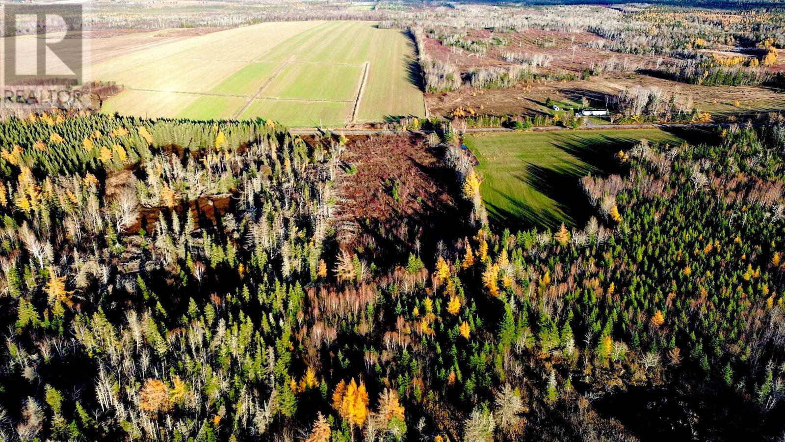 Albion Road, Route 327, Albion Cross, Prince Edward Island C0A 2A0 - Photo 4 - 202528083